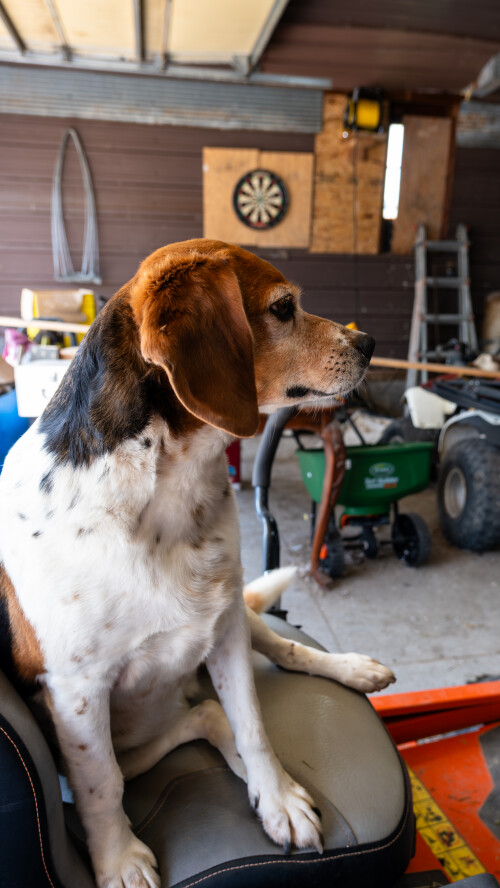 Blacksmithing-Shoot-8-6-23-2.jpeg